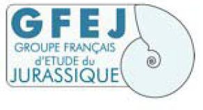 logo gfej