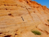 Grès fluviatile - Crétacé inférieur  (Bassin de Tarfaya)