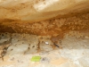 base de la couche fossilifère à dents de requin (couleur ocre) - Dakhla