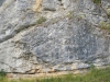 Coraux du Bajocien